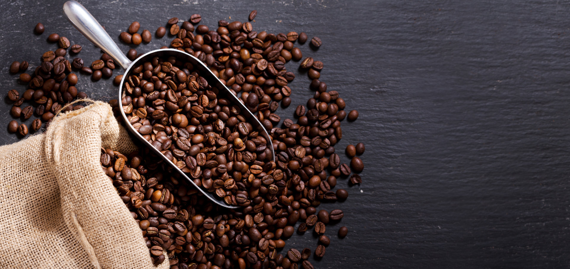 Gastromatec Kaffeemühlen